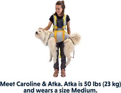 Ruffwear BackTrak Evacuation Kit Dog Harness, Cloudburst Gray, Small slide 2 of 9