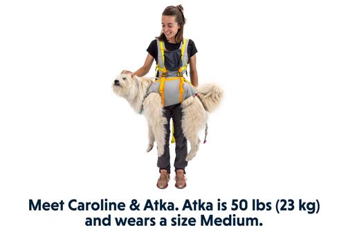 Show full view: Ruffwear BackTrak Evacuation Kit Dog Harness, Cloudburst Gray, Medium slide 8 of 10