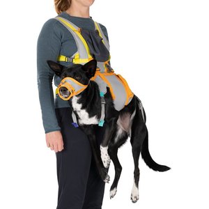 Ruffwear BackTrak Evacuation Kit Dog Harness, Cloudburst Gray, Large