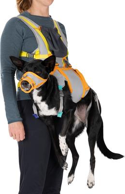 Show full view: Ruffwear BackTrak Evacuation Kit Dog Harness, Cloudburst Gray, Medium slide 4 of 10