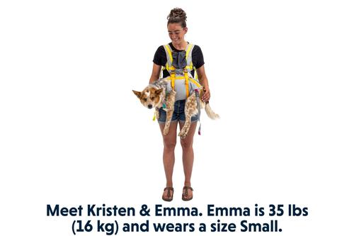 Show full view: Ruffwear BackTrak Evacuation Kit Dog Harness, Cloudburst Gray, Medium slide 7 of 10