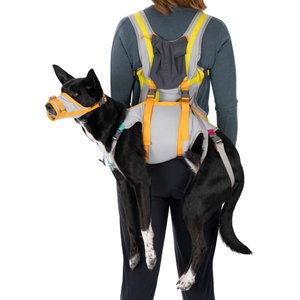 Ruffwear BackTrak Evacuation Kit Dog Harness, Cloudburst Gray, Large