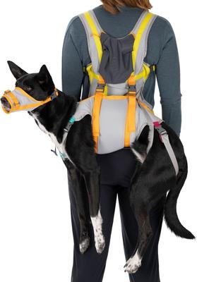 Show full view: Ruffwear BackTrak Evacuation Kit Dog Harness, Cloudburst Gray, Medium slide 5 of 10