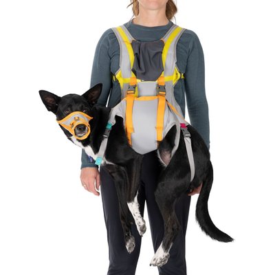 Ruffwear Ruffwear BackTrak Evacuation Kit Dog Harness, Cloudburst Gray, Large