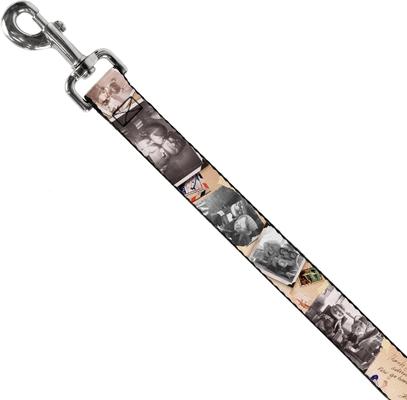 Show full view: Buckle-Down Disney Up Adventure Book Snapshots Post Cards Polyester Dog Leash, Beige, 6-ft long, 1-in wide slide 2 of 6
