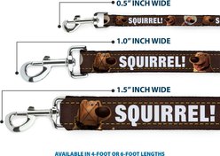 Buckle-Down Disney Dug Poses Squirrel Polyester Dog Leash, Brown, 6-ft long, 1-in wide slide 2 of 7