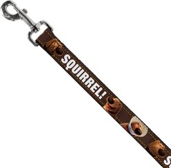Buckle-Down Disney Dug Poses Squirrel Polyester Dog Leash, Brown, 4-ft long, 1-in wide slide 2 of 7