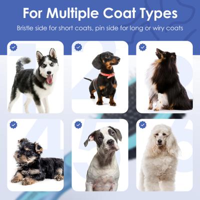 Show full view: American Kennel Club Double-Sided Bristle & Pin Dog Grooming ProBrush with Complimentary Bath Brush slide 6 of 8