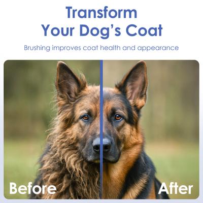 Show full view: American Kennel Club Double-Sided Bristle & Pin Dog Grooming ProBrush with Complimentary Bath Brush slide 7 of 8