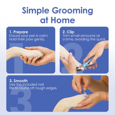 Show full view: American Kennel Club Non-Slip Grip Stainless Steel Blades Dog & Cat Nail Clippers with Safety Guard & Nail File slide 6 of 6