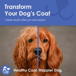 American Kennel Club Double-Sided Dematting & Deshedding Tool Stainless Steel Undercoat Dog Grooming Rake slide 2 of 7