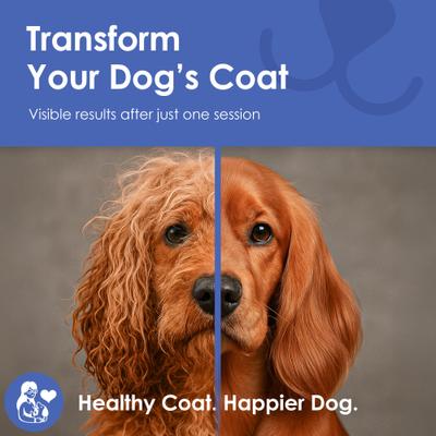 Show full view: American Kennel Club Double-Sided Dematting & Deshedding Tool Stainless Steel Undercoat Dog Grooming Rake slide 7 of 8