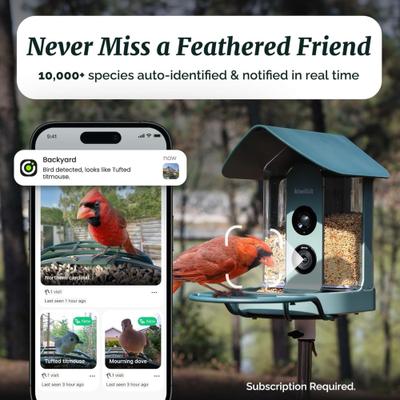 Show full view: Kiwibit Beako Smart Bird Feeder with 4K Camera, Green slide 2 of 6