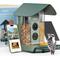 Show in main carousel: Kiwibit Beako Smart Bird Feeder with 4K Camera, Green slide 1 of 6
