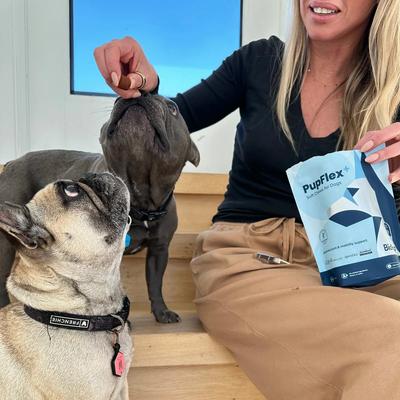 Show full view: BioPup PupFlex+ Chewable Advanced Hip & Joint Support Supplement for Dogs, 60 count slide 10 of 12