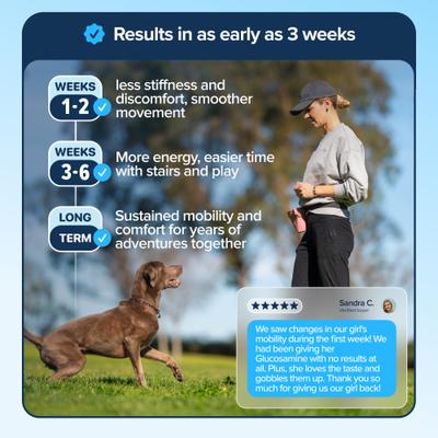 Show full view: BioPup PupFlex+ Chewable Advanced Hip & Joint Support Supplement for Dogs, 60 count slide 6 of 12