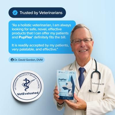 Show full view: BioPup PupFlex+ Chewable Advanced Hip & Joint Support Supplement for Dogs, 60 count slide 7 of 12