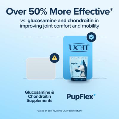 Show full view: BioPup PupFlex+ Chewable Advanced Hip & Joint Support Supplement for Dogs, 60 count slide 5 of 12