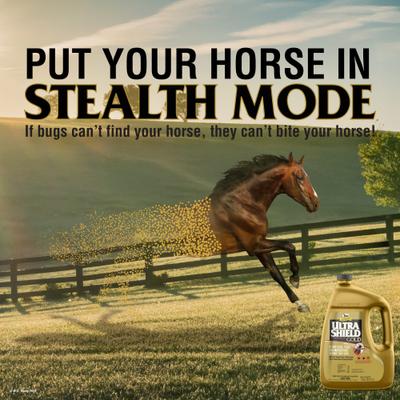 Show full view: Absorbine UltraShield Gold Horse Fly Spray Refill, 128-fl oz bottle slide 7 of 11