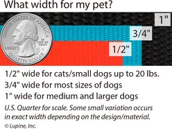 LupinePet Christmas Design Adjustable Breakaway Buckle Safety Cat Collar with Bell, 8 to 12-in neck, 1/2-in wide, Happy Holidays Green slide 2 of 4