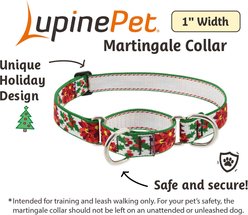 LupinePet Christmas Design Martingale Slip-on Adustable Training Dog Collar, Special Delivery, X-Large: 19 to 27-in neck, 1-in wide slide 2 of 6