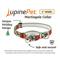 Show in main carousel: LupinePet Christmas Design Martingale Slip-on Adustable Training Dog Collar, Special Delivery, X-Large: 19 to 27-in neck, 1-in wide slide 2 of 6