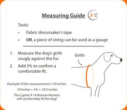 LupinePet Christmas Design Step In Dog Harness, Poinsettia, Small: 15 to 21-in chest, 3/4-in wide slide 2 of 6