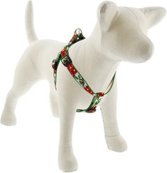 LupinePet Christmas Design Step In Dog Harness, Poinsettia, Small: 15 to 21-in chest, 3/4-in wide