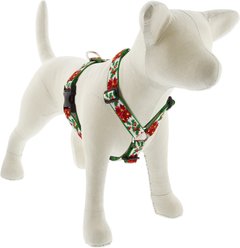 LupinePet Christmas Design Adjustable Dog Harness, Poinsettia, X-Large: 36 to 44-in chest, 1-in wide