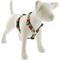 Show in main carousel: LupinePet Christmas Design Adjustable Dog Harness, Poinsettia, X-Large: 36 to 44-in chest, 1-in wide slide 1 of 6