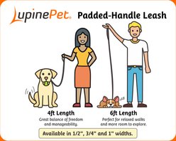 LupinePet Christmas Design Small Dog & Cat Padded Handle Leash, Happy Holidays Green, Regular: 4-ft long, 1/2-in wide slide 2 of 5