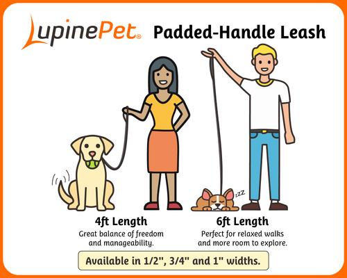 Show full view: LupinePet Christmas Design Small Dog & Cat Padded Handle Leash, Happy Holidays Green, Regular: 4-ft long, 1/2-in wide slide 3 of 5