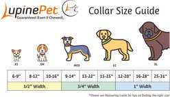 LupinePet Christmas Tree Design Dog Collar, 12 to 20-in neck, 1-in wide slide 2 of 7