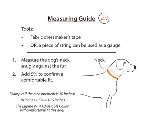 Show full view: LupinePet Nature Inspired Original Design Adjustable Nylon Dog Collar, Intervale, Small: 9 to 14-in neck, 3/4-in wide slide 5 of 7