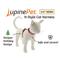 Show in main carousel: LupinePet Christmas Tree Design H-Style Cat Harness, Large: 12 to 20-in chest slide 2 of 6