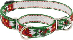 LupinePet Christmas Design Martingale Slip-on Adustable Training Dog Collar, Poinsettia, Medium: 14 to 20-in neck, 3/4-in wide