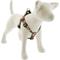 Show in main carousel: LupinePet Christmas Design Step In Dog Harness, Poinsettia, Large: 24 to 38-in chest, 1-in wide slide 1 of 6