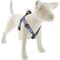 Show in main carousel: LupinePet Christmas Design Step In Dog Harness, Special Delivery, Large: 24 to 38-in chest, 1-in wide slide 1 of 7