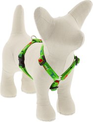 LupinePet Christmas Design Adjustable Dog Harness, Happy Holidays Green, X-Small: 9 to 14-in chest, 1/2-in wide