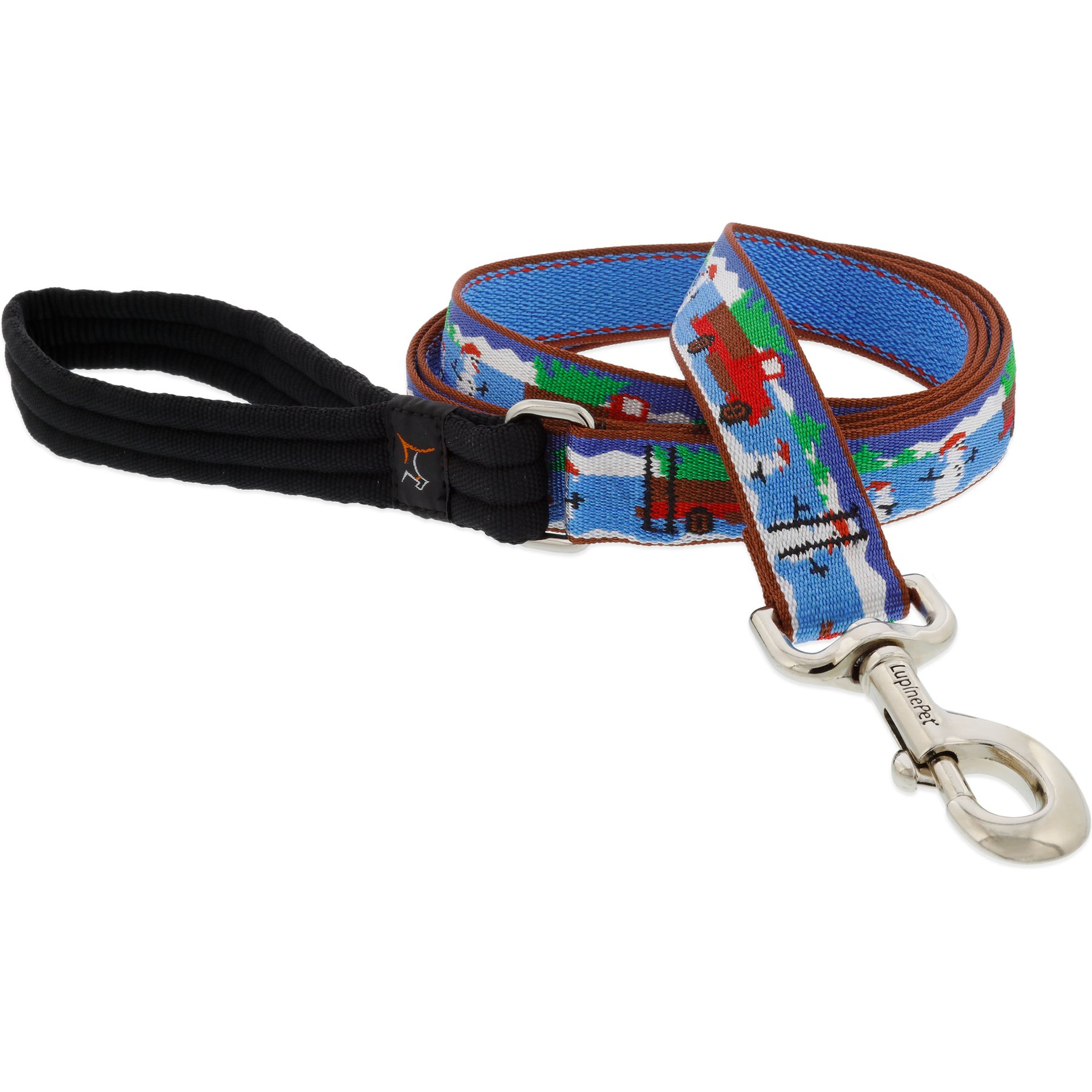 LupinePet Christmas Design Padded Handle Dog Leash, Special Delivery, Regular: 4-ft long, 1-in wide