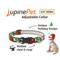 Show in main carousel: LupinePet Christmas Design Adjustable Dog Collar, Poinsettia, Small: 9 to 14-in neck, 3/4-in wide slide 2 of 6