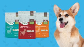 Original Meal Feasts