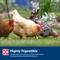 Show in main carousel: Purina Layena Pearls 16% Protein Chicken Feed, 25-lb bag slide 6 of 9