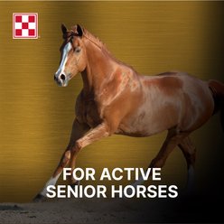 Purina Ultium Senior Horse Feed, 50-lb bag slide 2 of 9