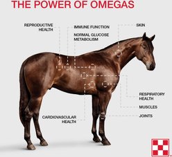 Purina Omega Match Ahiflower Oil Horse Supplement, 1-gal jug slide 2 of 2