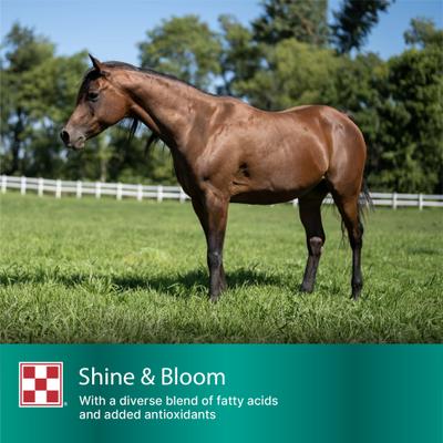 Show full view: Purina Amplify High-Fat Horse Supplement, 50-lb bag slide 9 of 10