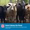 Show in main carousel: Purina Precon Complete RX3 Pellets Cattle Feed, 50-lb bag slide 7 of 10