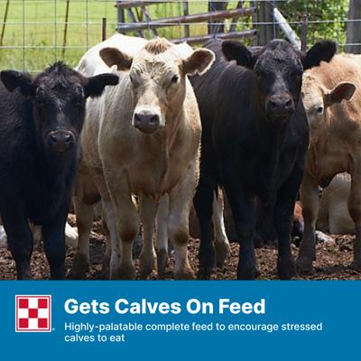 Show full view: Purina Precon Complete RX3 Pellets Cattle Feed, 50-lb bag slide 7 of 10