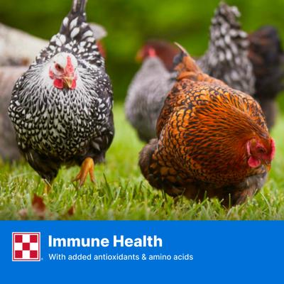 Show full view: Purina Layena 16% Protein Pellets Chicken Feed, 25-lb bag slide 6 of 9