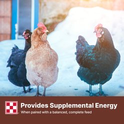 Purina Scratch Grains Poultry Feed, 50-lb bag slide 2 of 8